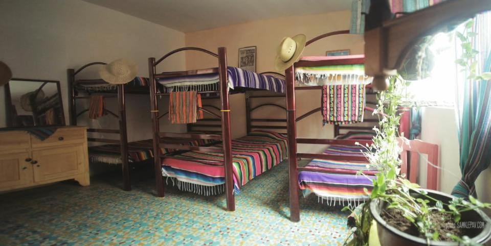 Cama Individual en habitación compartida femenina